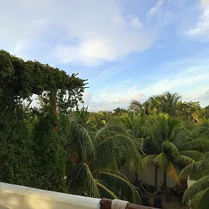 https://casa-aloha-isla-holbox.quintano-roohotels.com