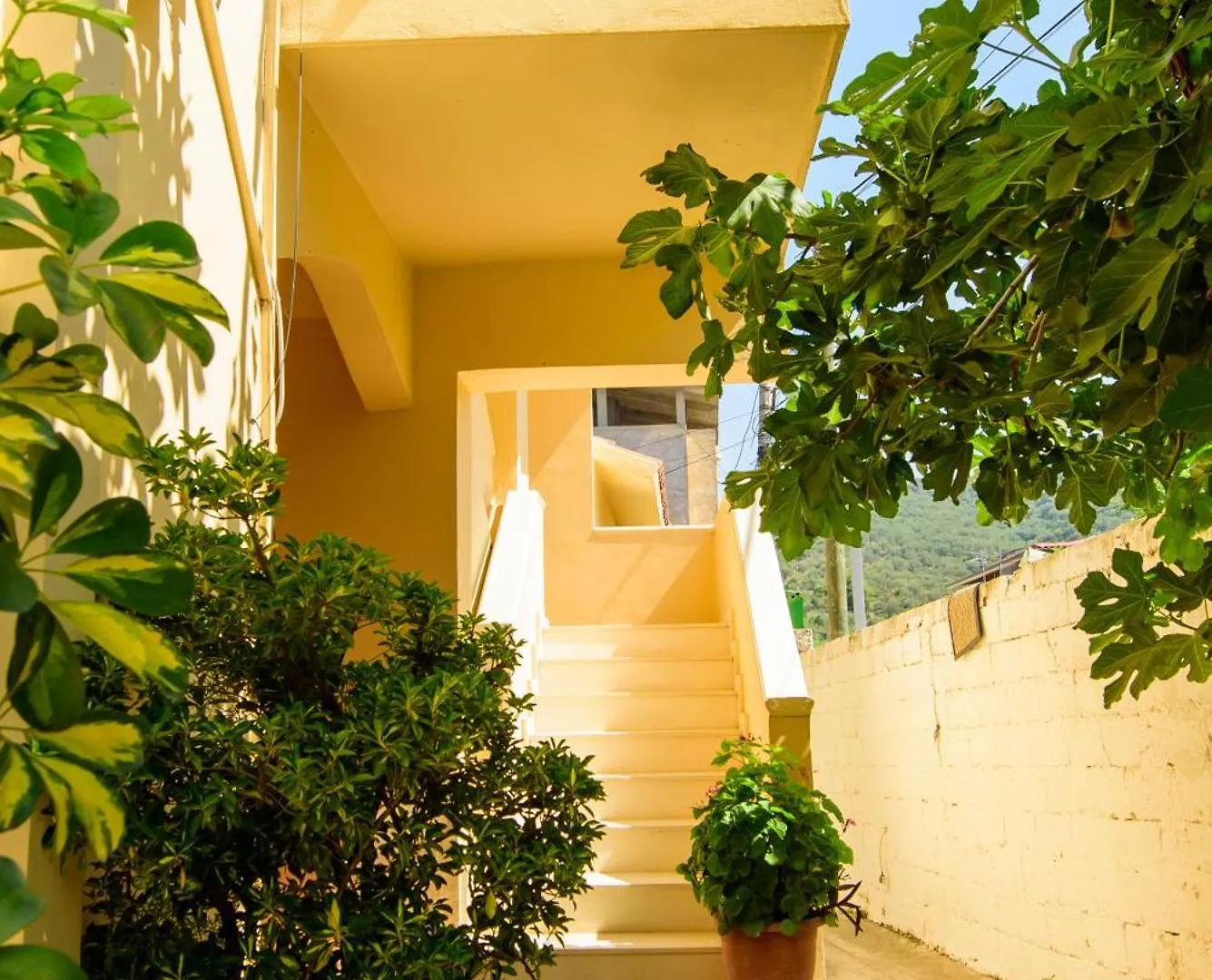 Rei'S Place Vlorë アルバニア